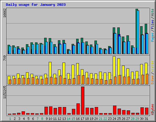 Daily usage for January 2023