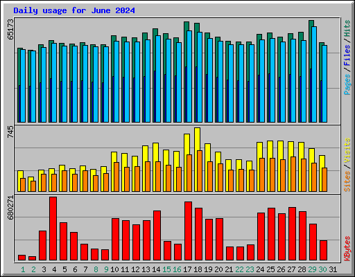 Daily usage for June 2024