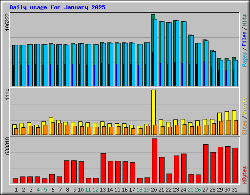 Daily usage for January 2025