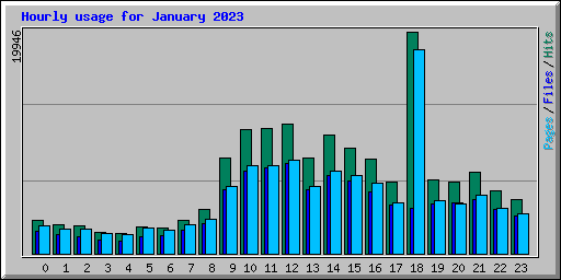 Hourly usage for January 2023