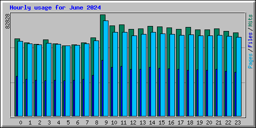 Hourly usage for June 2024