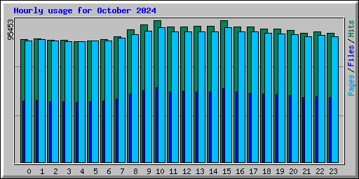Hourly usage for October 2024