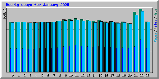 Hourly usage for January 2025