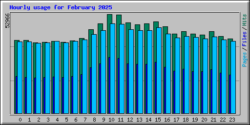 Hourly usage for February 2025
