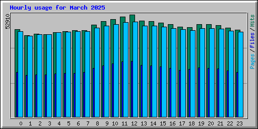 Hourly usage for March 2025