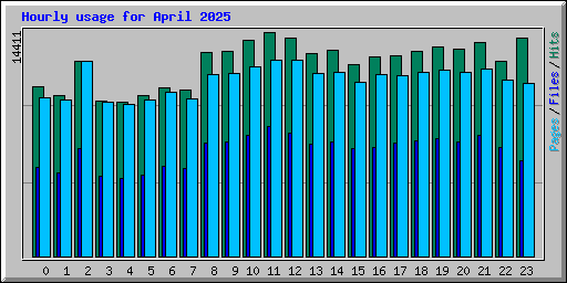 Hourly usage for April 2025